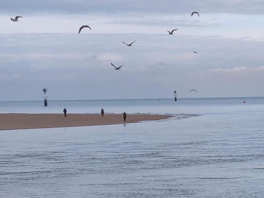 La Baleine - Hyper Centre, Charme Et Calme A Deux Pas De La Mer Cabourg Buitenkant foto
